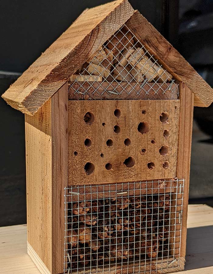 Cedar Bug Hotel 220901