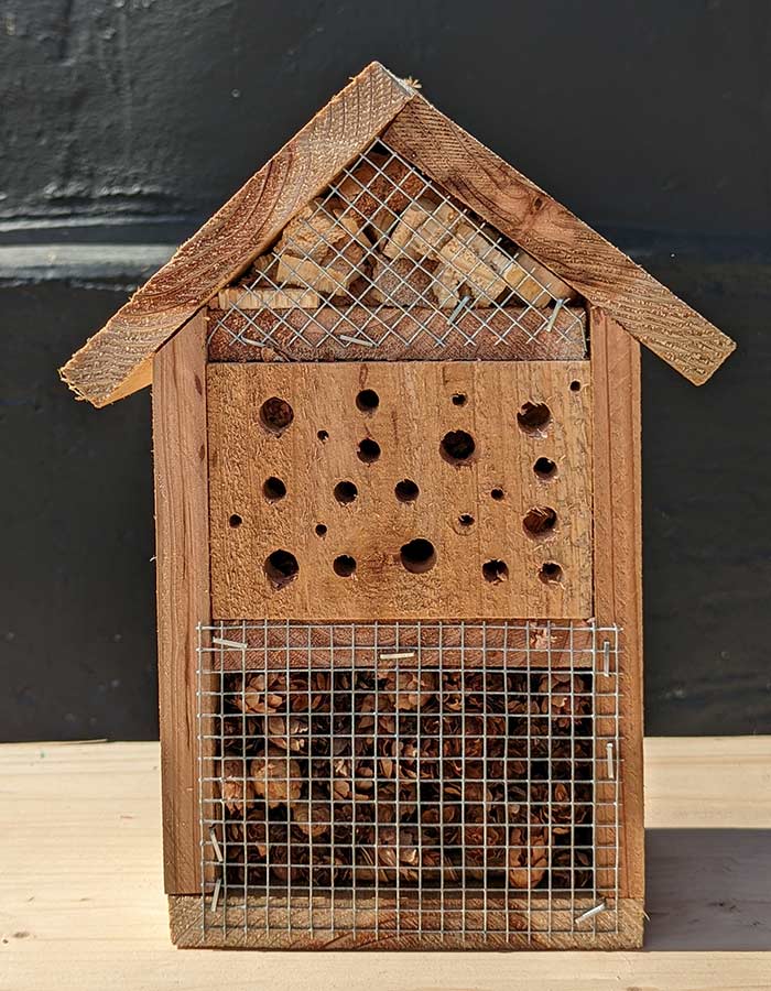 Cedar Bug Hotel 220901