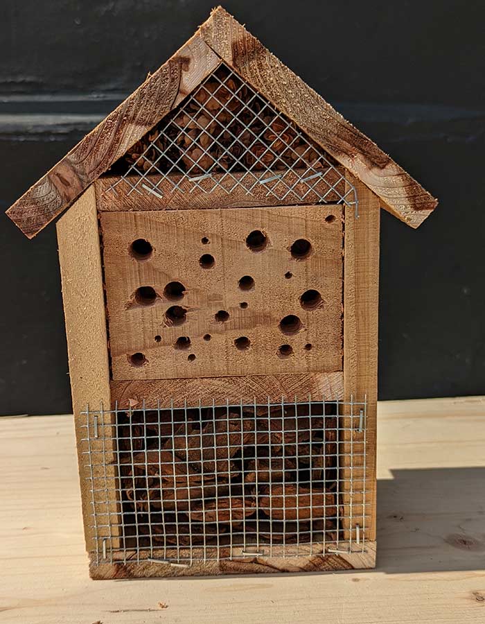 Cedar Bug Hotel 220902