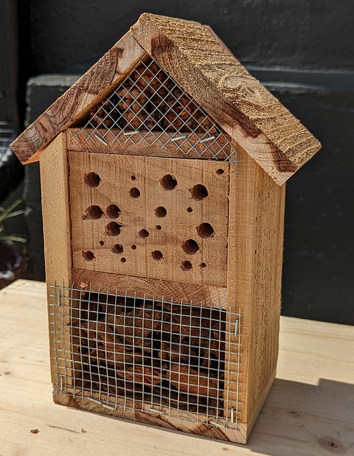 Cedar Bug Hotel 220902