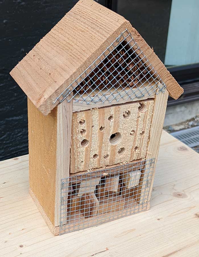 Cedar Bug Hotel 220903