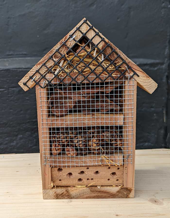 Cedar Bug Hotel 220905